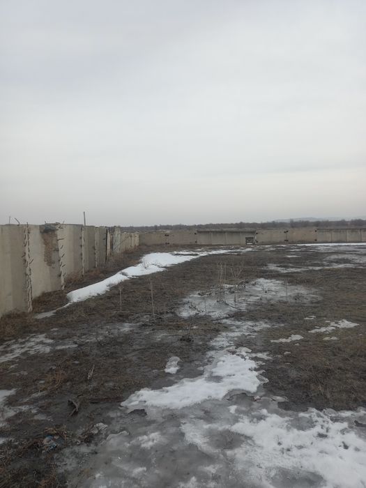 Фазенда база.     .