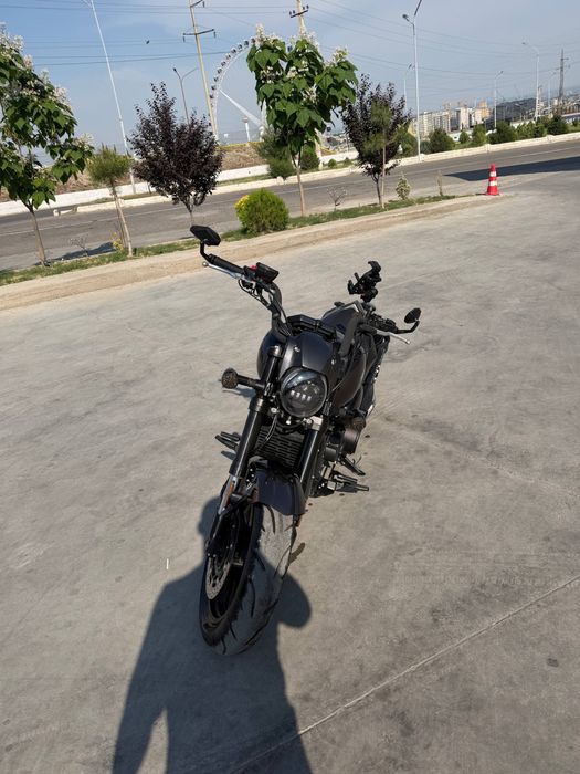 GROZA XS800-50 xs