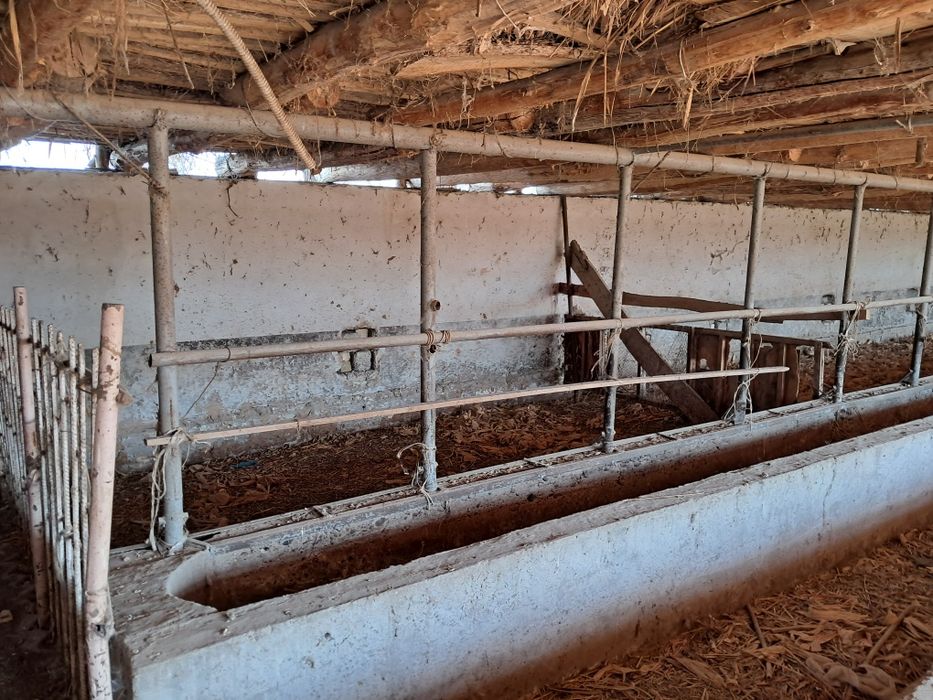 Мол ферма сотилади