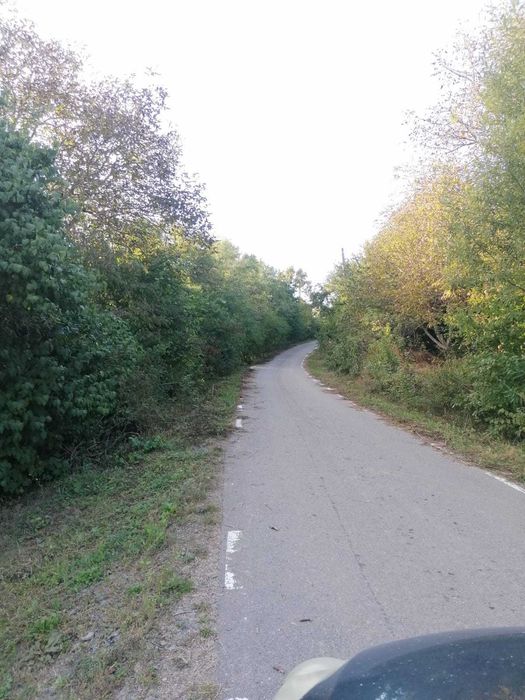 Gradina de vanzare