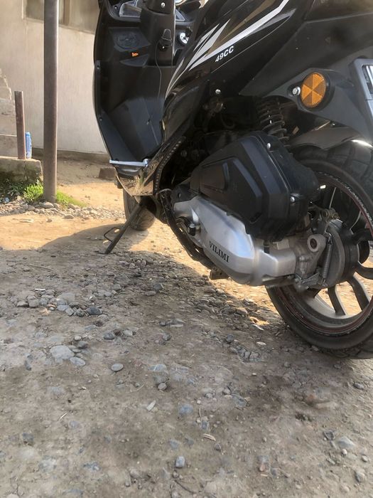 Макси  жағдай жақсы