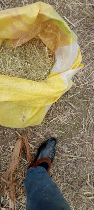 Куритилган бедани майдалангани ДКУ килинган сотилади