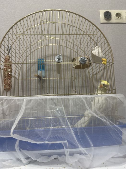 Клетка для попугая