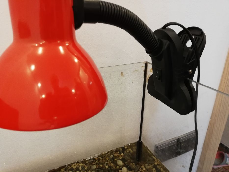 Lampa acvariu țestoasă, reptile, pesti