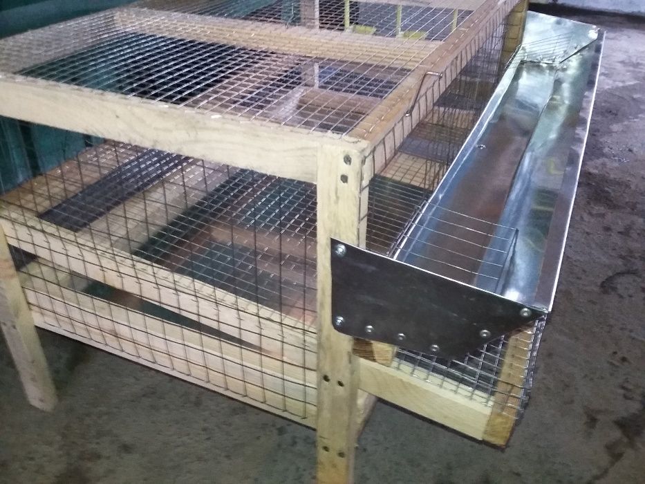 клетки для перепелов на 1 ярус