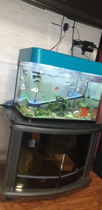 Аквариум продам хороший