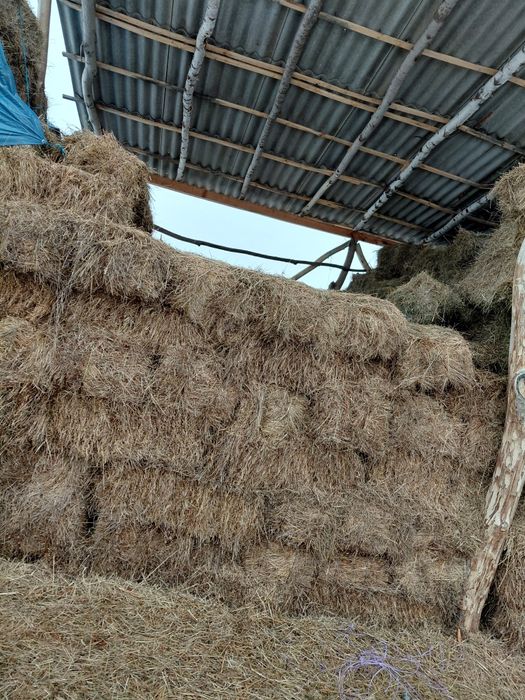 Vând baloți de fân