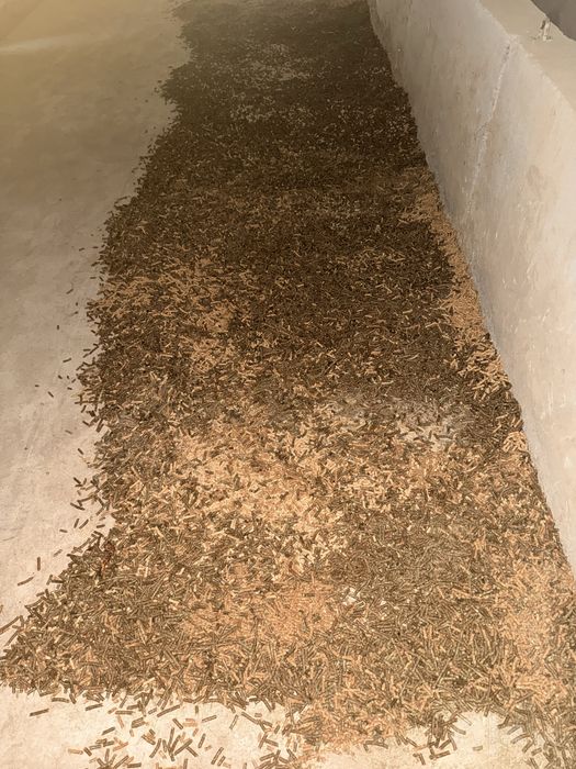 Em chiqaradigon aparat Granulyator sotiladi