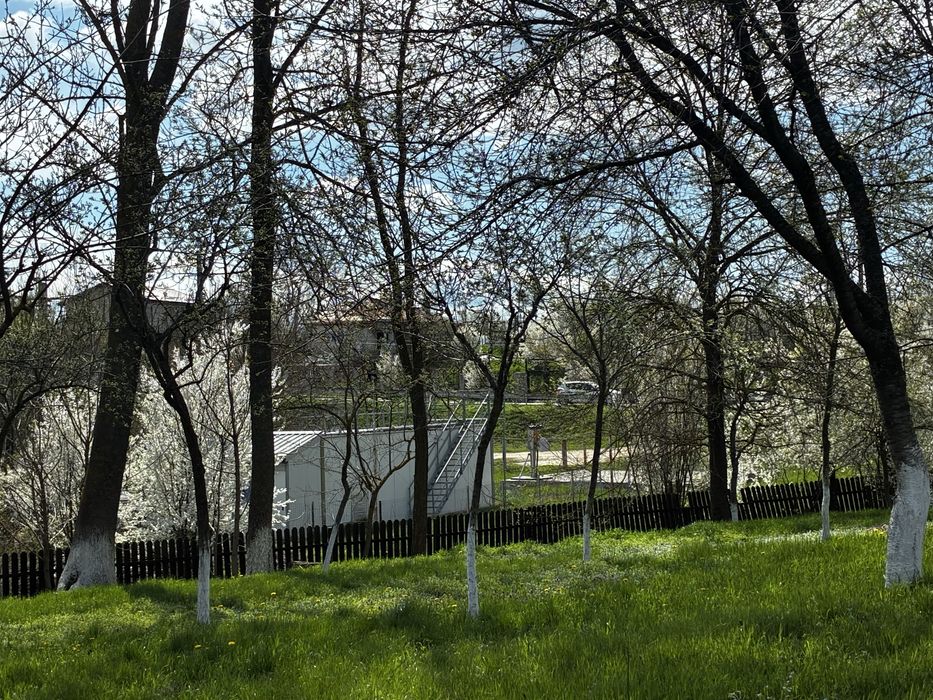 Teren intravilan 2.000 mp la 30 km de Bucuresti – Movila, Niculești
