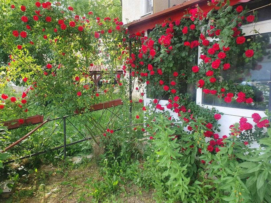 Închiriez apartament 1 cameră (Proprietar), 30 mp + intrare privată, zonă Diamant (Tudor)