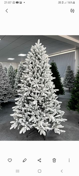 Елка навогоднаяя