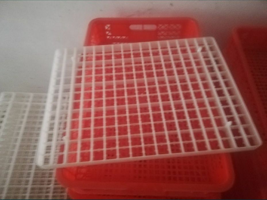 Инкубатон.inqubator