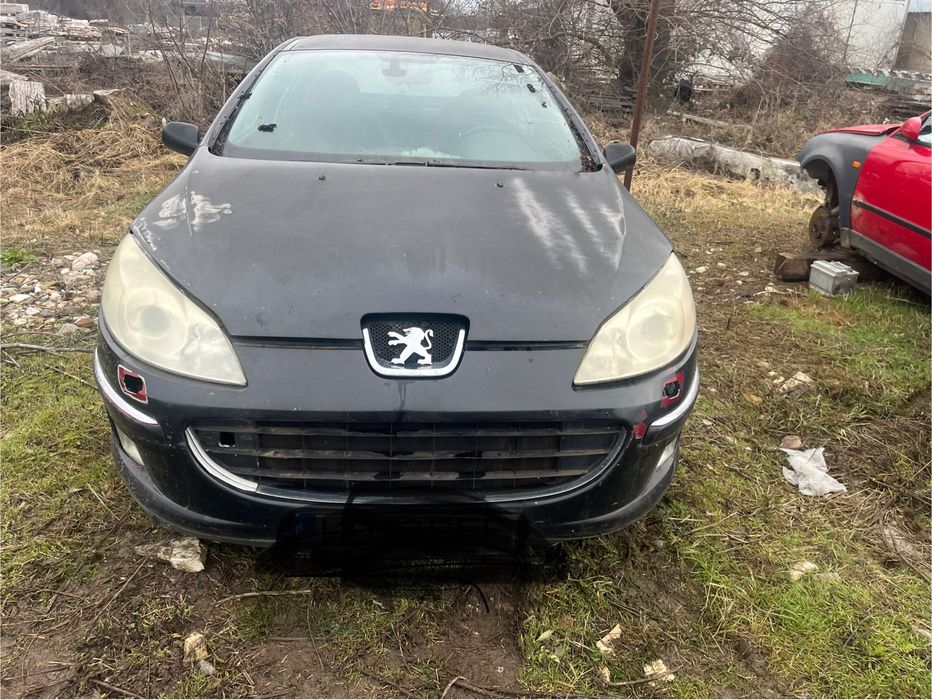 Bara fata peugeot 407!