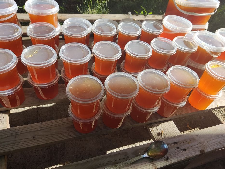 Продам мед, мёд.