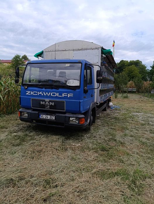 Stupina apicola 96 familii