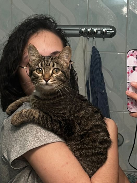 Животные в добрые ручки