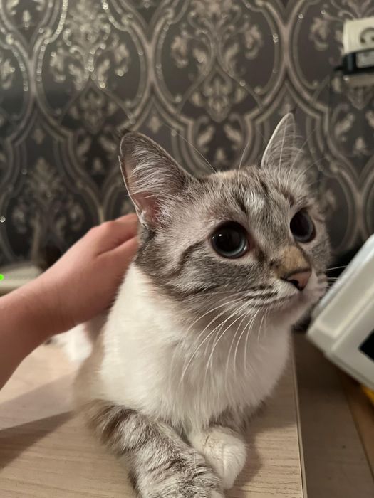 Ищем добрых людей