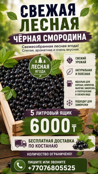 Чёрная смородина 5 л — 6000 ₸ | Бесплатная доставка Костанай