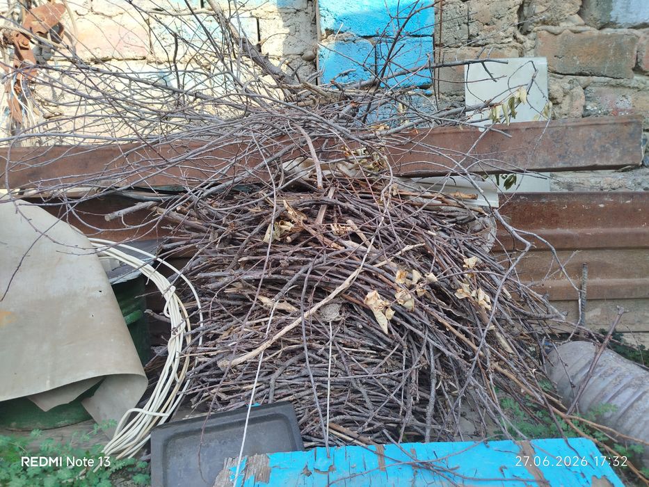 Продаю дрова готовые рубленные