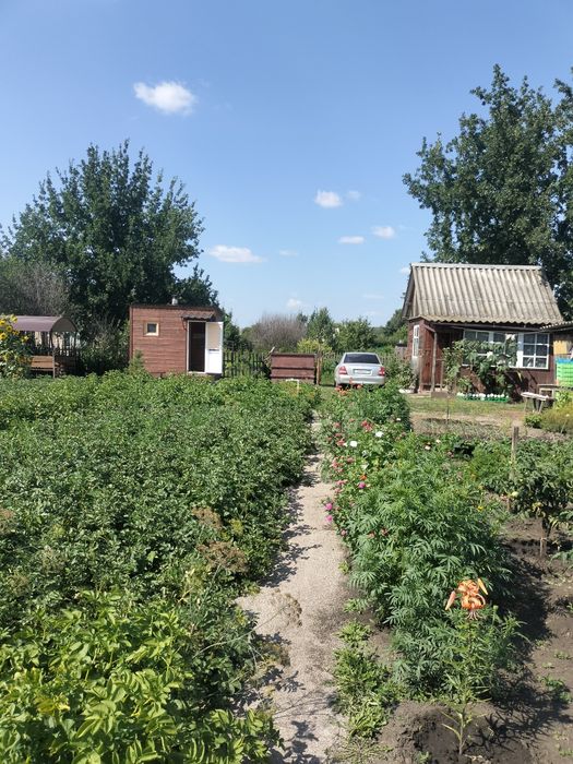 Продам Дачу общ. Вишенка