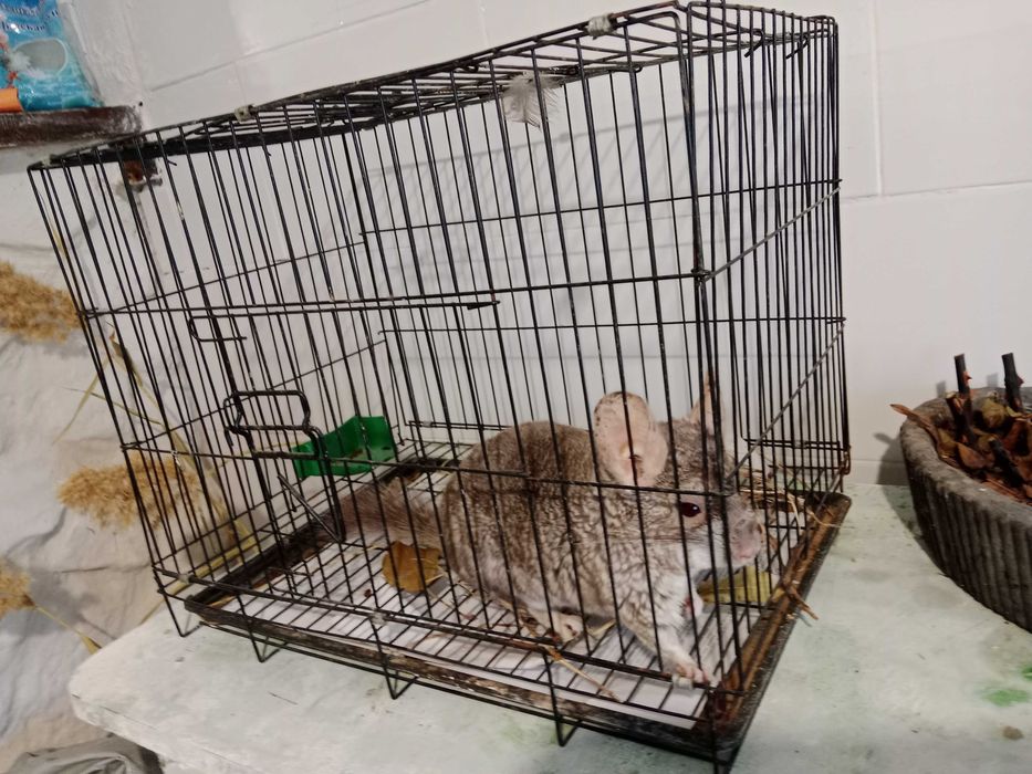 Продам клетку недорого