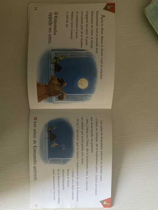 Детская книга на французском