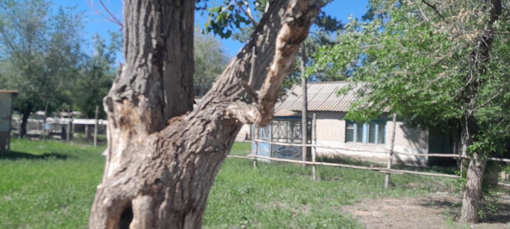 Продается дом,находится в поселке Аксуат.