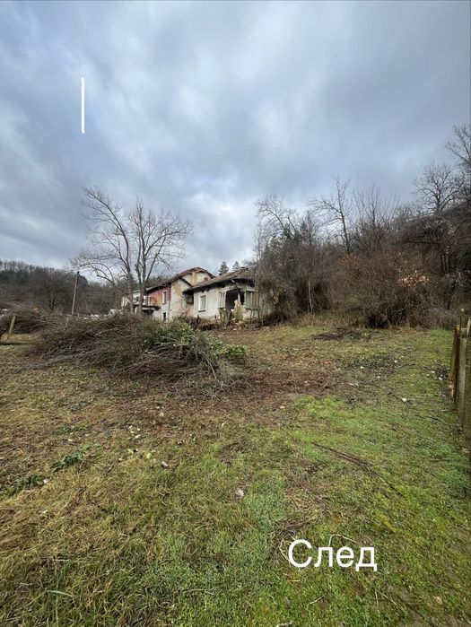 Професионално почистване на дворове, рязане на дървета и косене