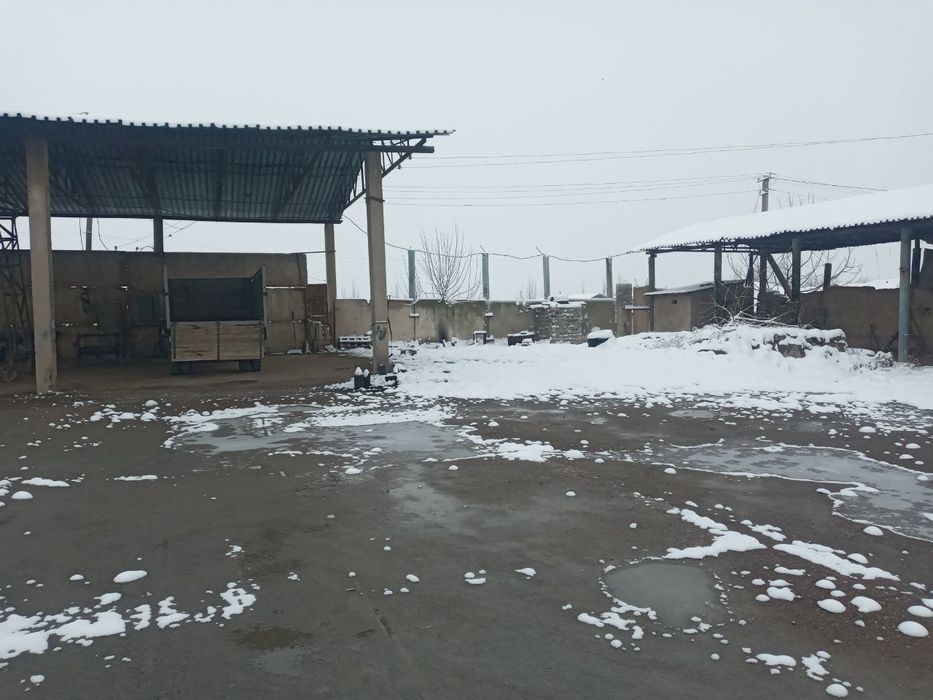 Кучмас мулк сотилади