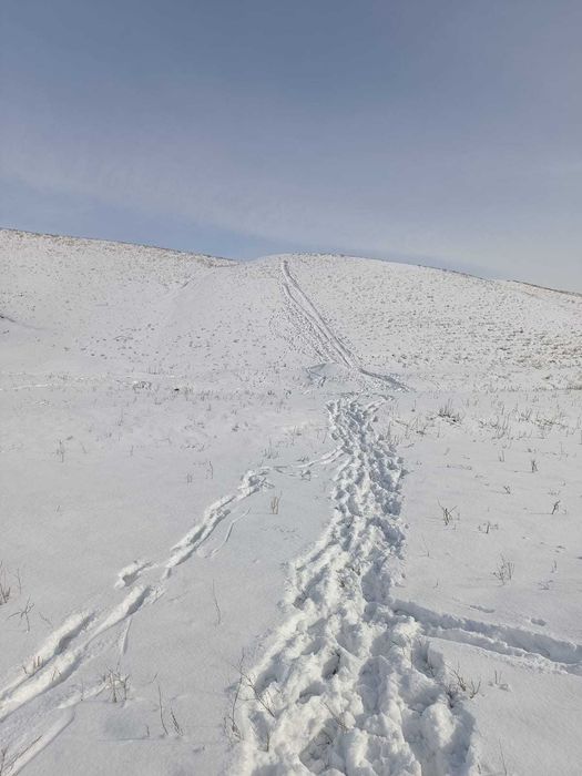 Крестьянское хозяйство