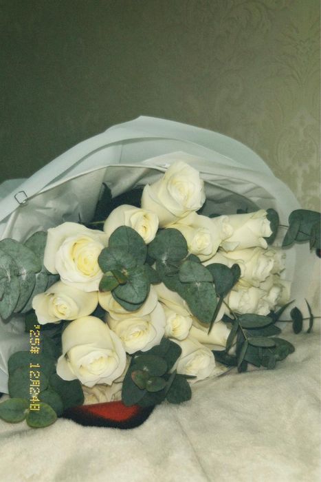 белая роза — свежие