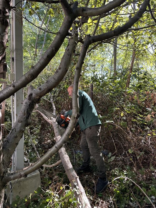 Почистване на изоставени парцели/дворове/запустели терени/Мулчиране