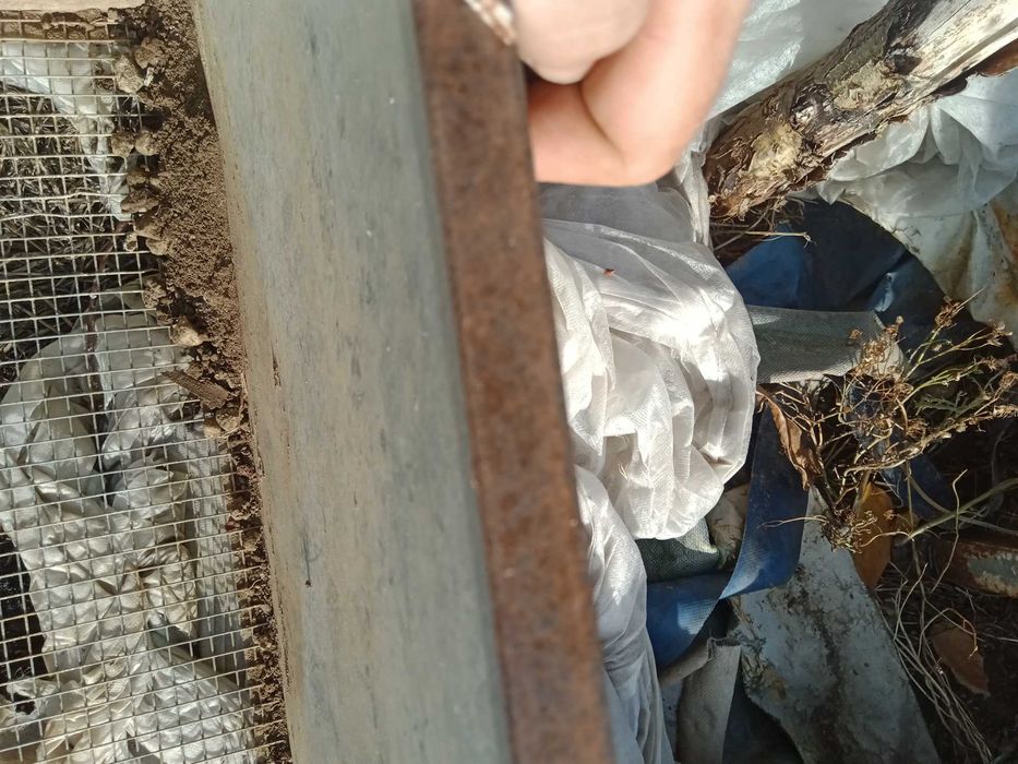 Висока леха от поцинкована ламарина