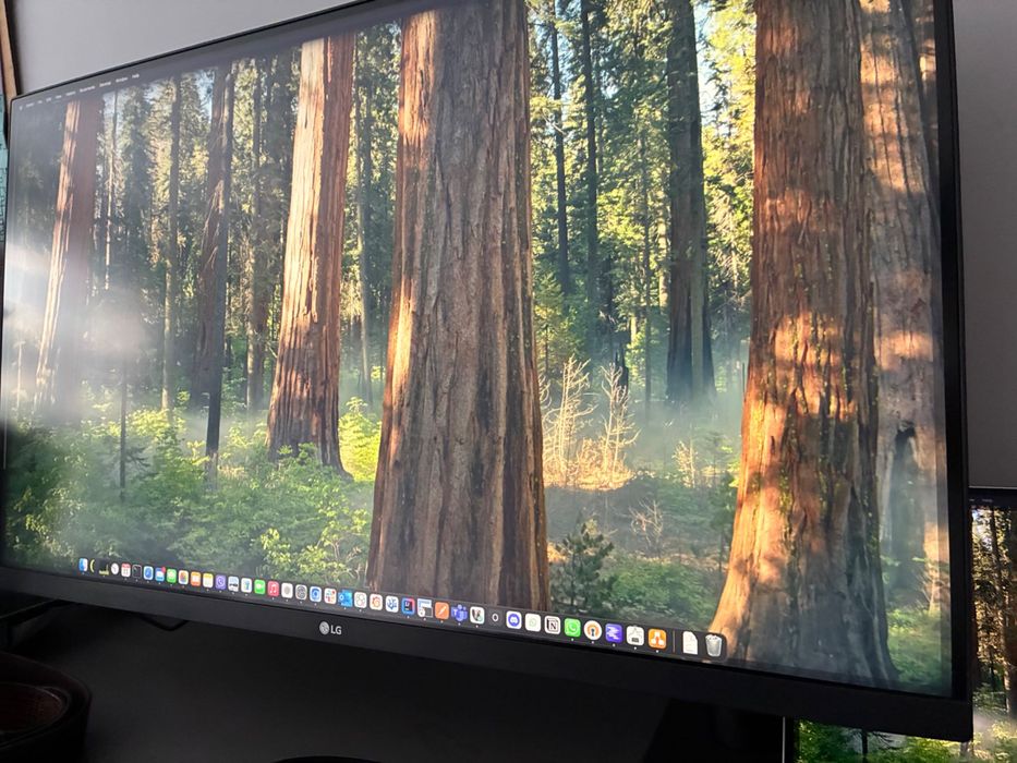 Професионален Монитор LG 32UN880 UHD 4K ERGO 32" USB-C PD