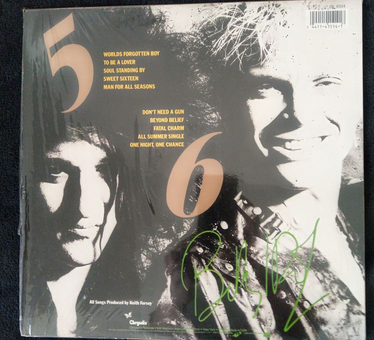 Грамофонна плоча Billy Idol