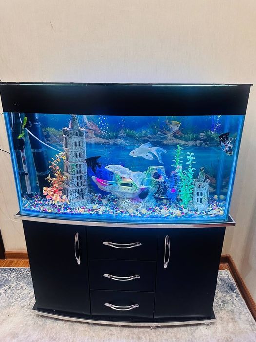 Akvarium 200 litr