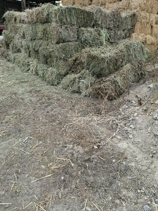 Продам сено в тюках