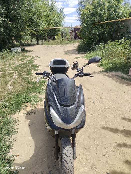 Макси 2024 годин