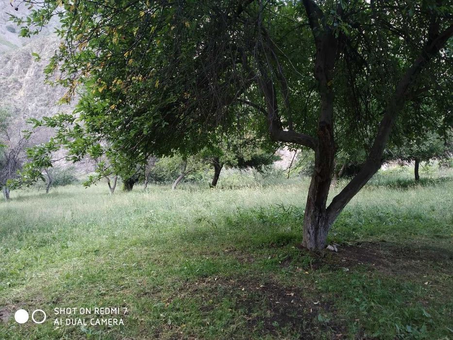 Koʻchmas mulk yer maydoni sotiladi