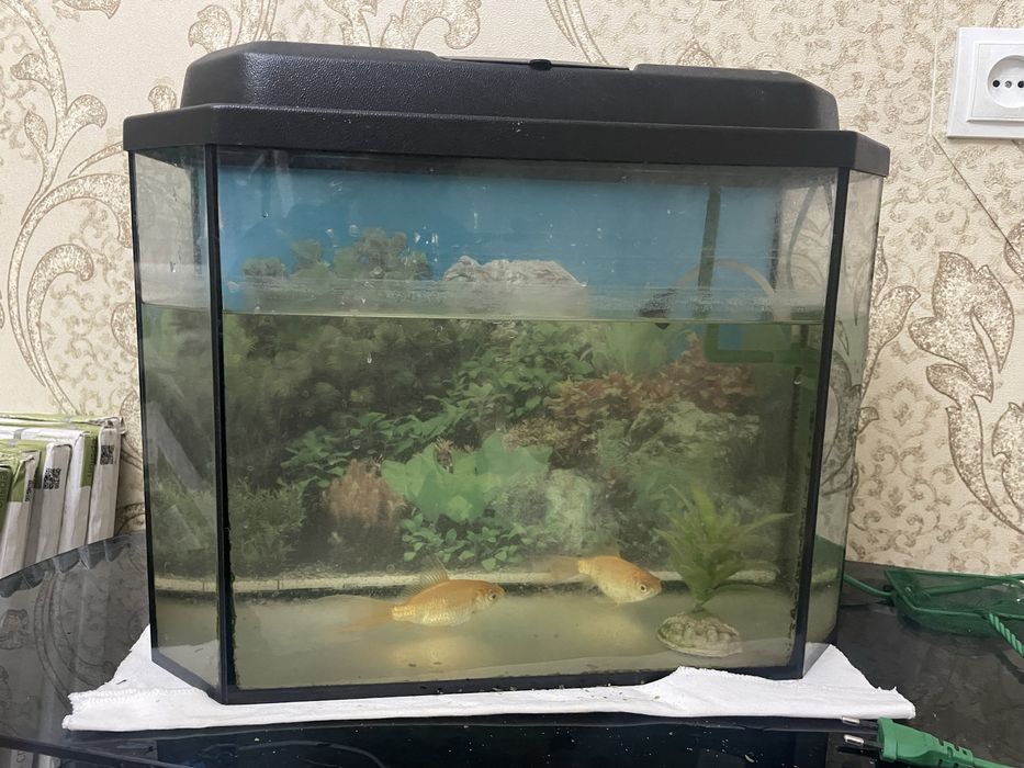 аквариум 25 литров
