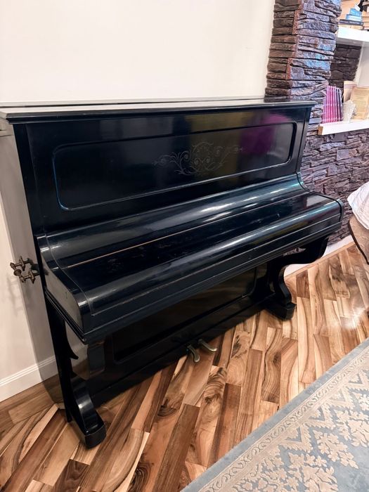 Pianina Boissiere Paris