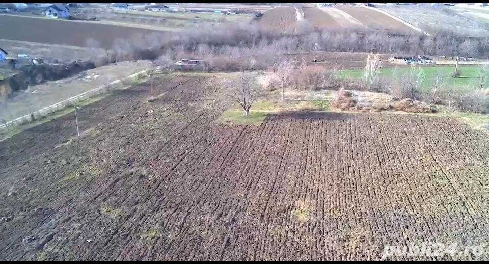 OCAZIE! Teren intravilan de vanzare, Aleea Albina, Botosani, 68euro/mp