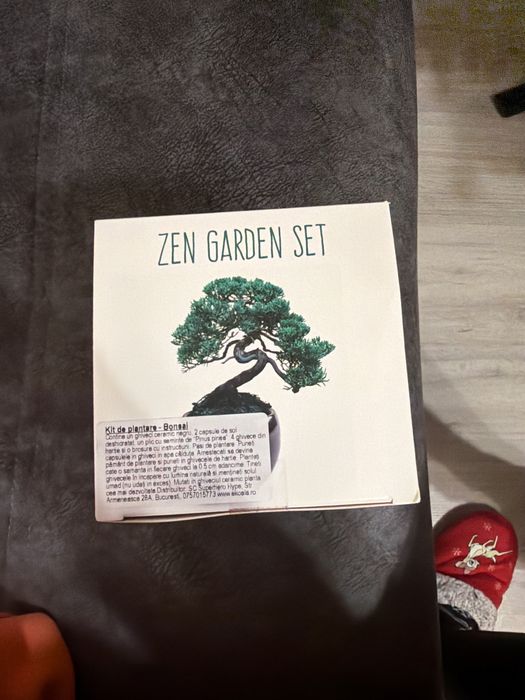 Kit de plantare Bonsai