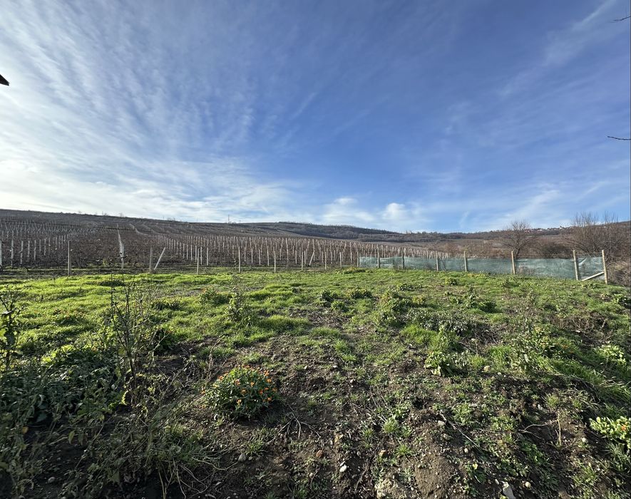 Vând teren intravilan în Huși (suprafață intreagă sau 2 loturi)