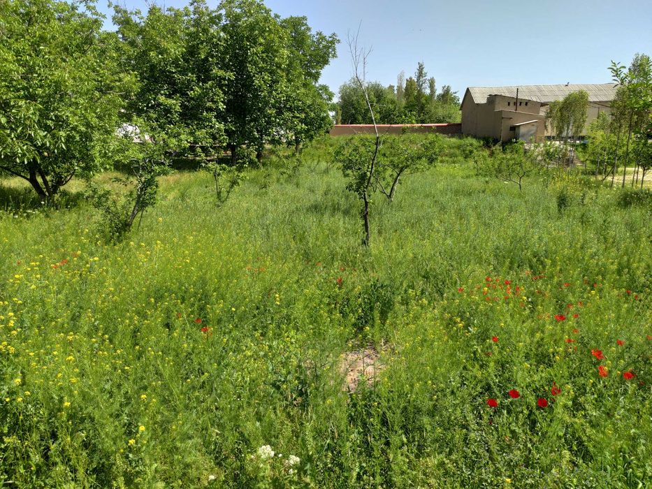 Yer sotiladi 12 sotx Mingchinor,Mingchinormfy Ziynat 3-tor koʻchasi 12