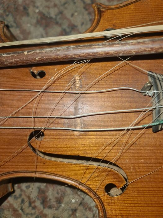 Violin stradavarius