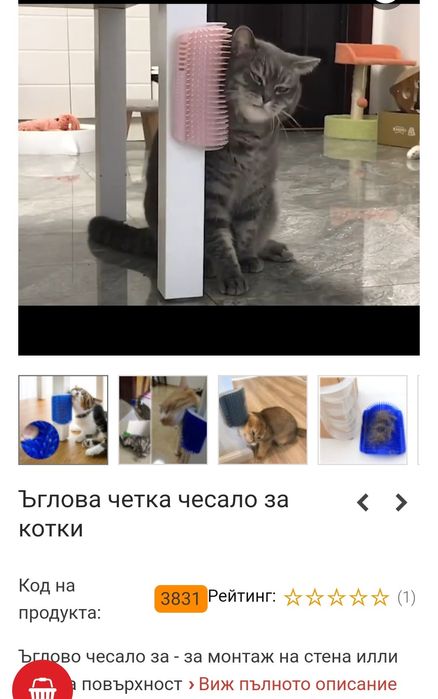 Аксесоари за вашето коте