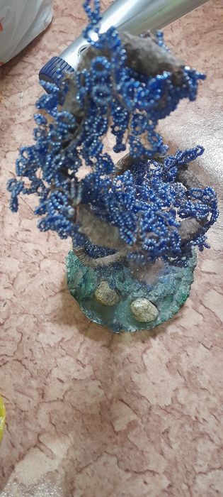 Денежное дерево ствол гнется