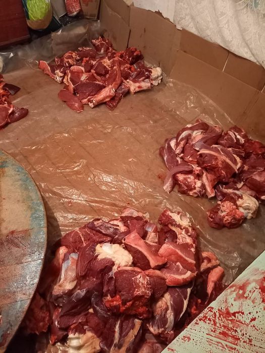 Мясо Говядины дастовка бесплотна