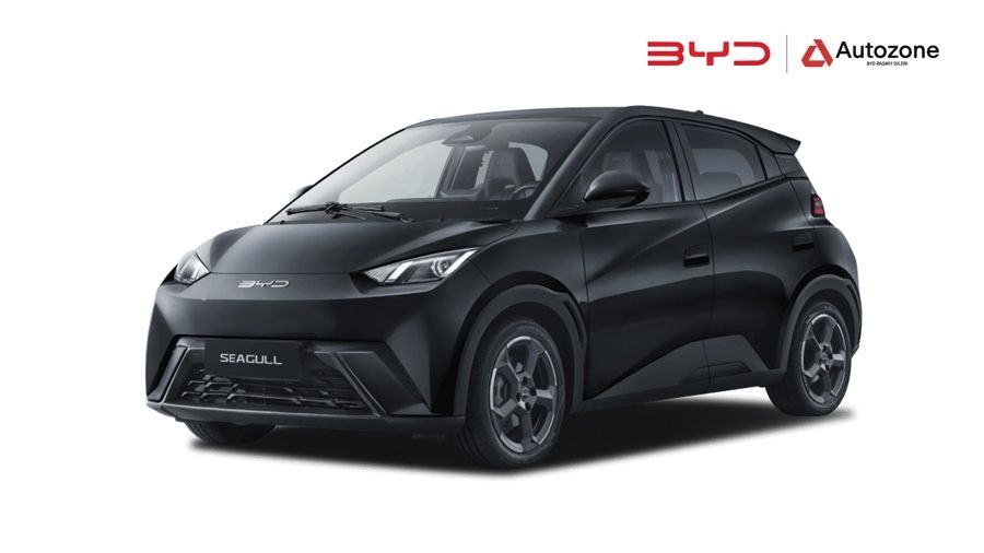 Byd Seagull oldi fara